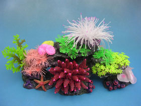 Fish Aquarium
